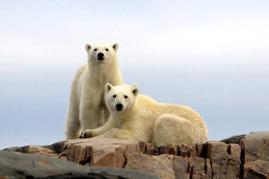 Radisson Blu Polar Hotel, Spitsbergen Λονγκιαρμπίεν Εξωτερικό φωτογραφία